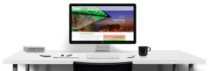 Small Business Website Development Service MT Web Sol