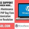 WordPress Support, Bug Fixes & Customization Service